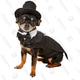 Doggie Design Dog Tuxedo | $25 | Chewy